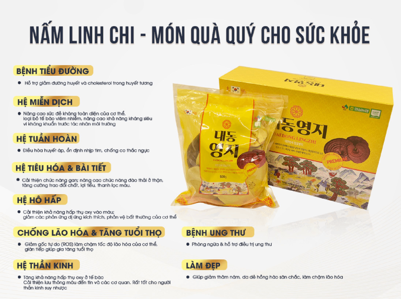 Công dụng của nấm linh chi Hàn Quốc Daedong
