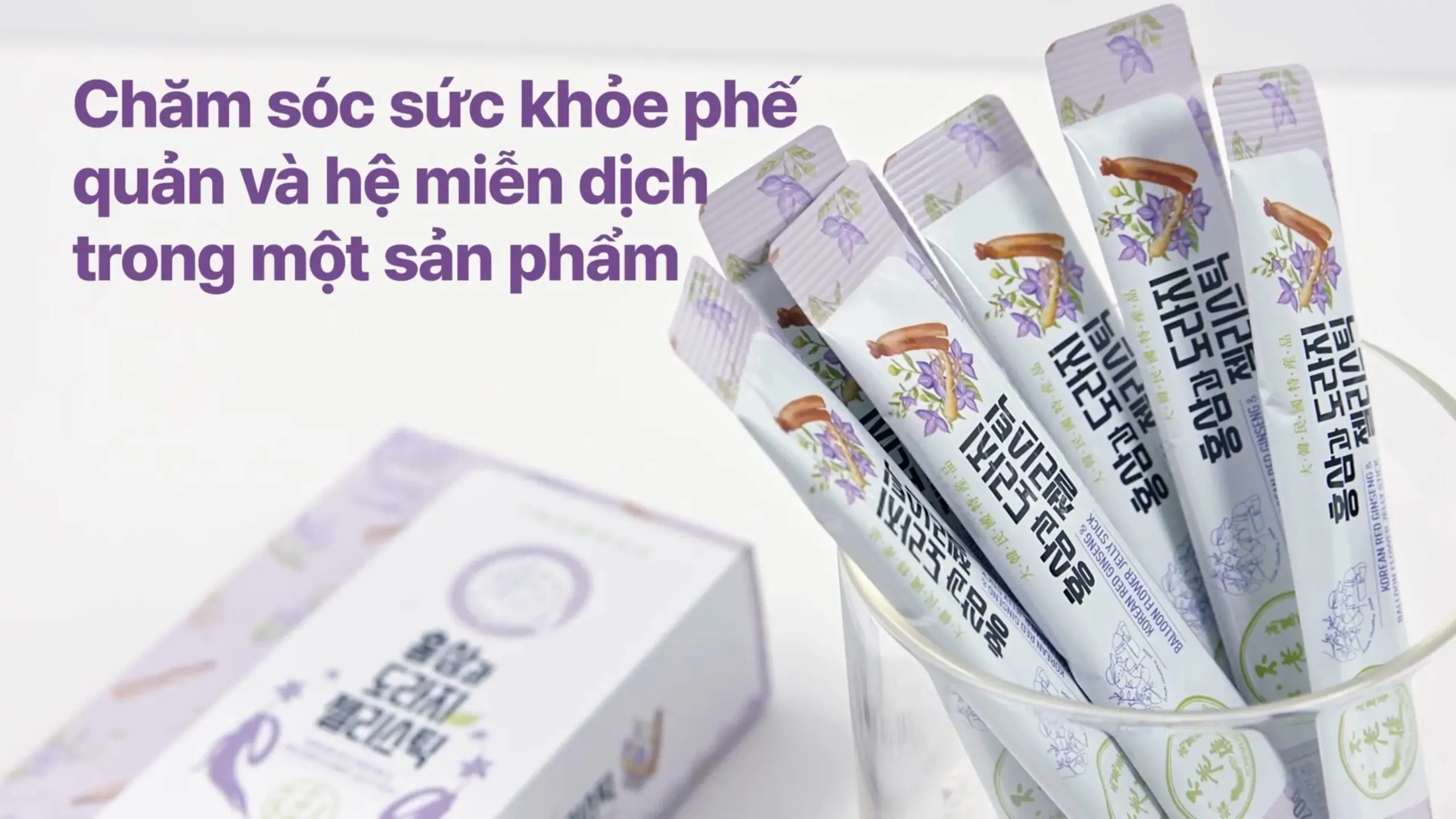 Thạch hồng sâm hoa chuông Daedong Thạch hồng sâm hoa chuông