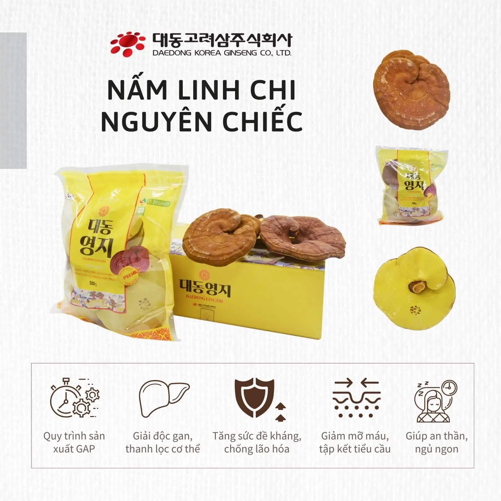 Nấm linh chi có tác dụng gì cho sức khỏe Nấm linh chi có tác dụng gì cho sức khỏe