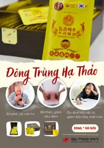 Bạn đã có những kiến thức gì về nước đông trùng hạ thảo Daedong