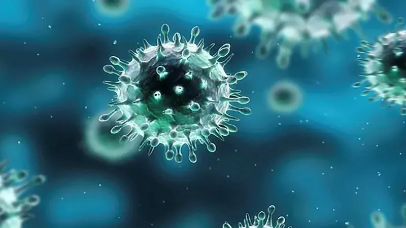 Virus cúm A - Bùng phát mạnh khi giao mùa