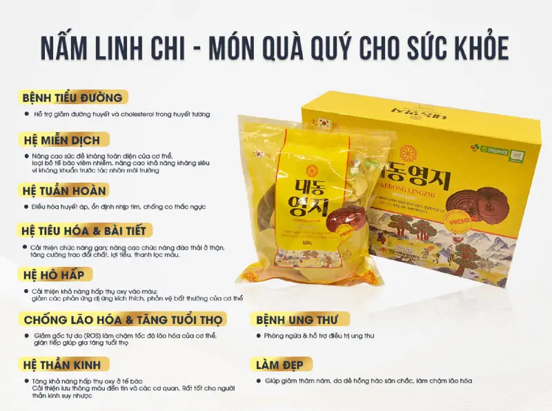 Công dụng của nấm linh chi Hàn Quốc Daedong Công dụng của nấm linh chi Hàn Quốc Daedong